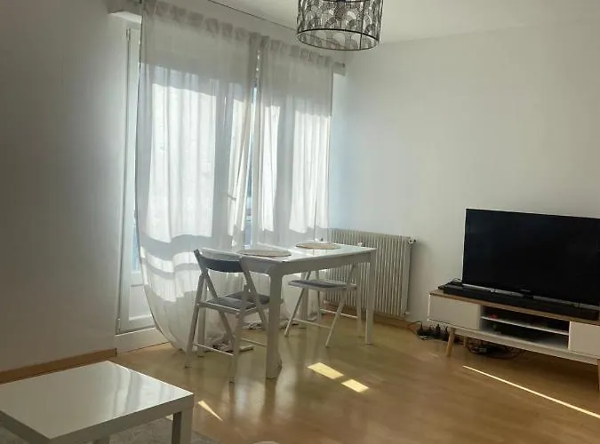 Grand T2 F2 Mulhouse Downtown Free Parking